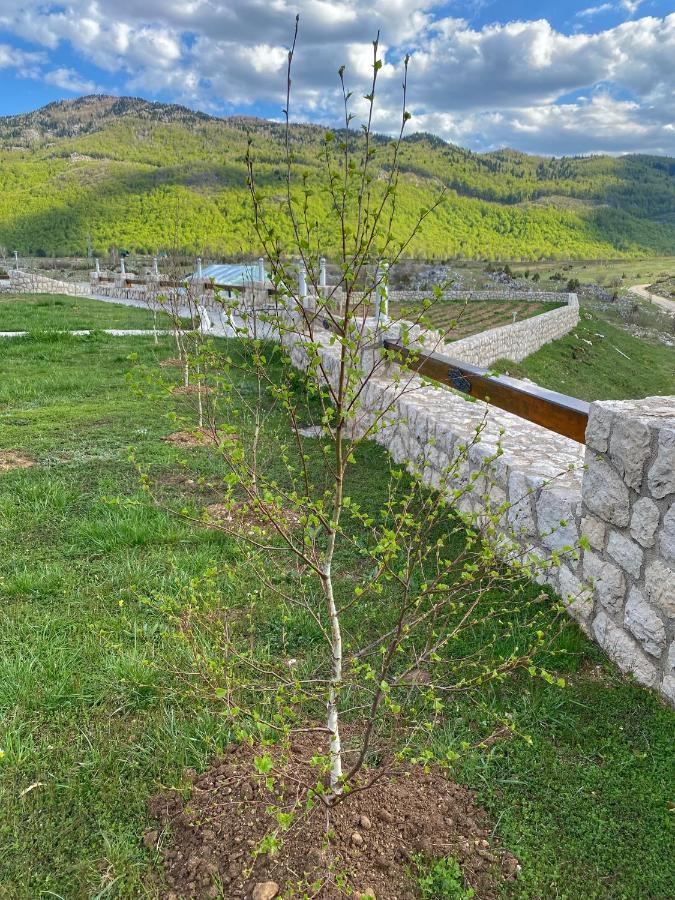 Montenegro Piva Consists Of Two Units Lux And Part Of The House Апартаменты Плужине